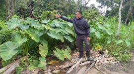 Salah seorang warga Bukit Kapitan RW 08 RT 02 Kelurahan Dabo Lama Kudritianes (Foto : Wandy)