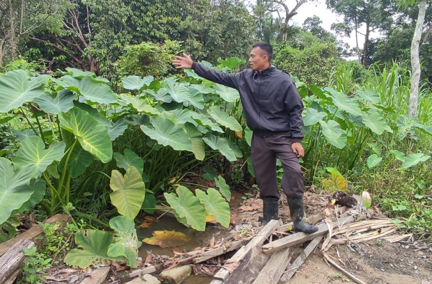  Masyarakat Bukit Kapitan Tagih Janji Kelurahan Dabo Lama Terkait Penyambungan Parit