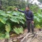 Salah seorang warga Bukit Kapitan RW 08 RT 02 Kelurahan Dabo Lama Kudritianes (Foto : Wandy)