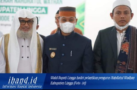 Hadiri Pelantikan Pengurus Nahdlatul Wadhan, Ini Pesan Wakil Bupati Lingga