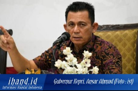 Gubernur Kepri Dukung Penuh Investor Kembangkan Pariwisata di Anambas