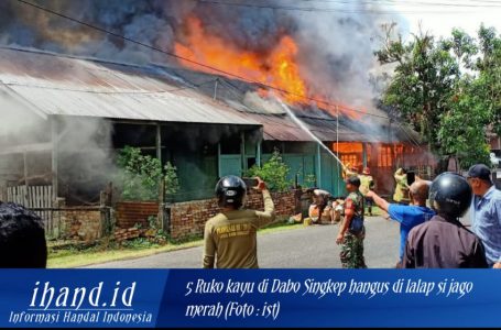 5 Ruko Kayu di Dabo Singkep Ludes di Lalap Si Jago Merah