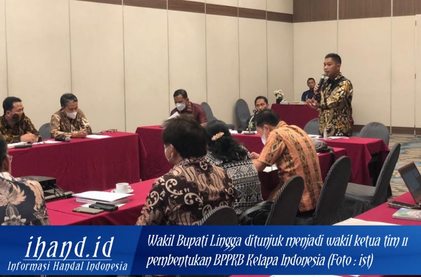  Ditunjuk Jadi Wakil Ketua Tim 11 Pembentukan BPPKB Kelapa Indonesia, Ini Harapan Wakil Bupati Lingga