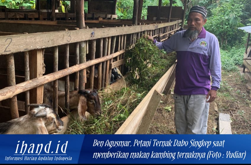  Idul Adha Tahun Ini, Harga Hewan Qurban Normal Stok untuk Qurban Tercukupi