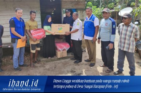 Dinsos PPPA Lingga Serahkan Bantuan Pada Warga Rumah Roboh Tertimpa Pohon di Singkep Barat