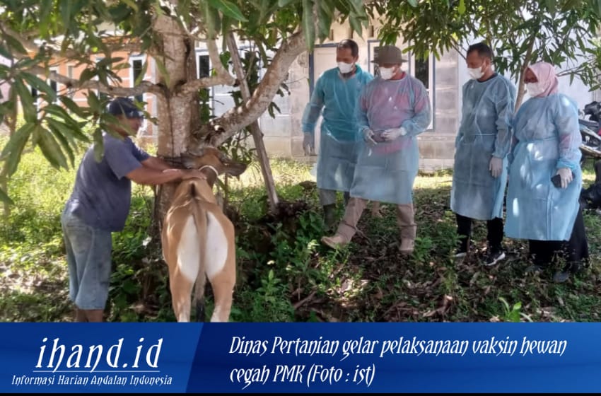  Kelurahan Dabo Lama Dukung Pelaksanaan Vaksinasi Hewan Ternak