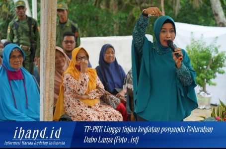 Tekan Angka Stunting di Lingga, Ketua TP-PKK Lingga Tinjau Kegiatan Bulanan Posyandu Anggrek Kel. Dabo Lama