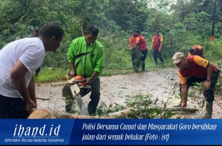 Cuaca Ekstrem Rawan Pohon Tumbang, Polisi Bersama Camat dan Masyarakat Singkep Barat Goro Bersihkan Bahu Jalan