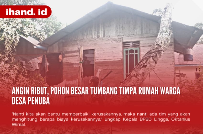  Angin Ribut, Pohon Besar Tumbang Timpa Rumah Warga Penuba