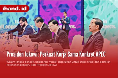 Presiden Jokowi: Perkuat Kerja Sama Konkret APEC