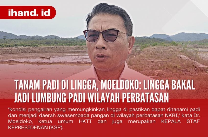  Tanam Padi di Lingga, Moeldoko: Lingga Bakal Jadi Lumbung Padi Wilayah Perbatasan