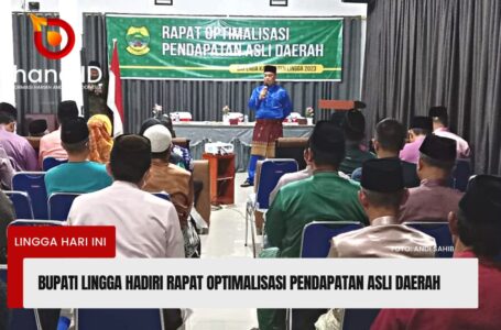 Bupati Lingga Hadiri Rapat Optimalisasi Pendapatan Asli Daerah