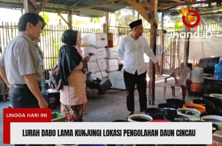 Lurah dabo lama Kunjungi Lokasi Pengolahan Cincau