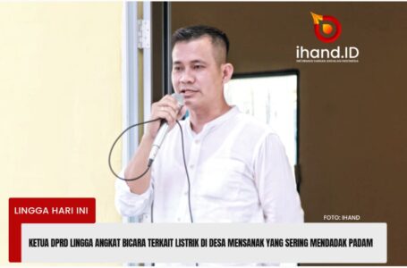 Ketua DPRD Lingga Angkat Bicara Terkait Listrik di Desa Mensanak Yang Sering Mendadak﻿ Padam