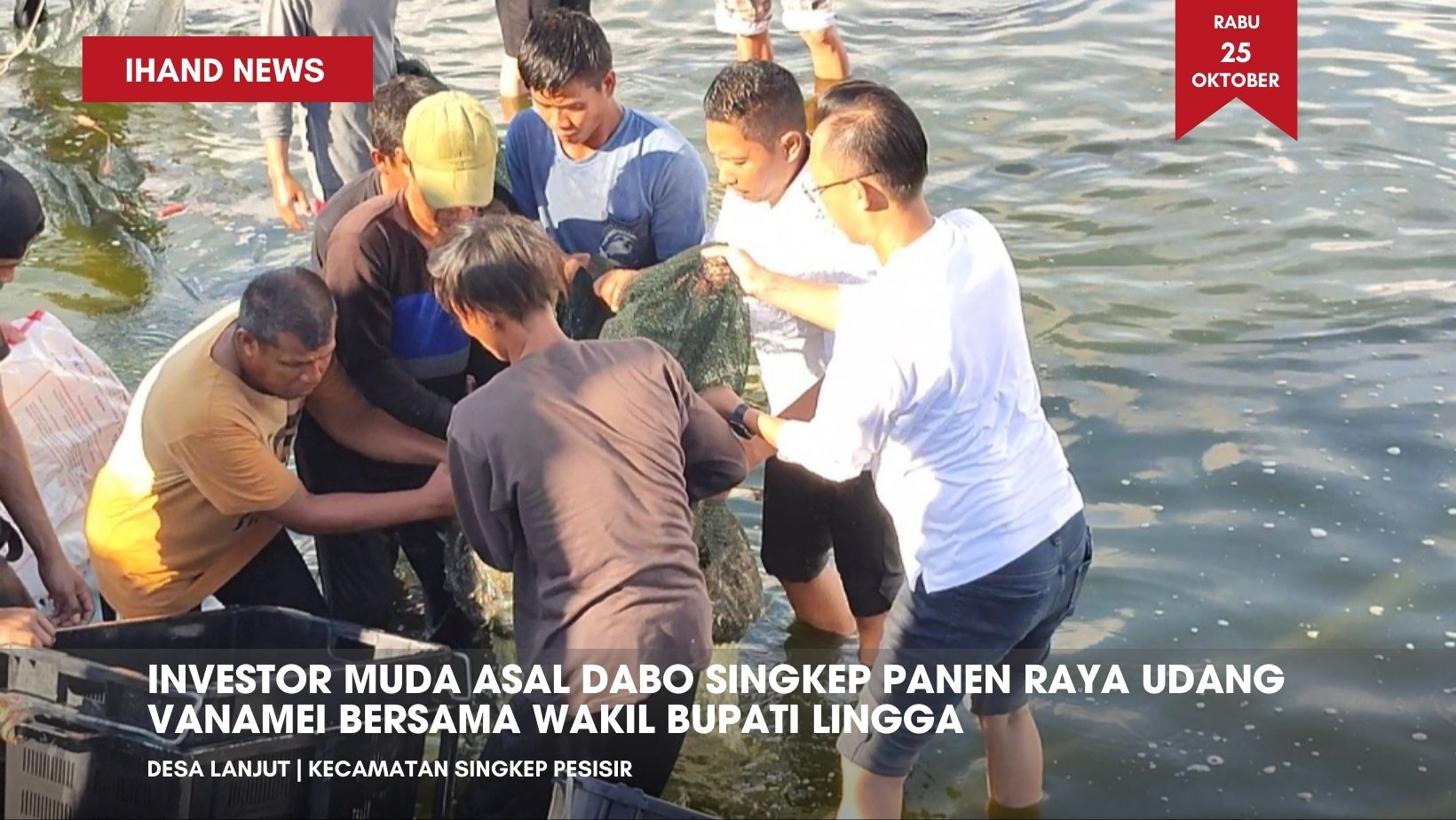  Investor Muda Asal Dabo Singkep Panen Raya Udang Vanamei Bersama Wakil Bupati Lingga