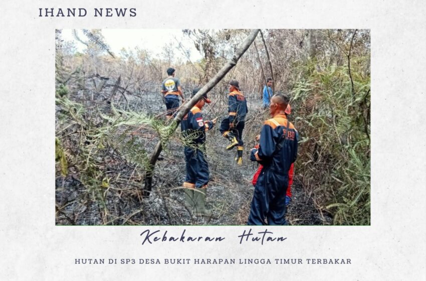  Hutan di SP3 Bukit Harapan Lingga Utara Terbakar