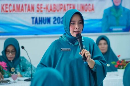 TP PKK Kabupaten Lingga Gelar Monitoring dan Evaluasi di Kecamatan Selayar