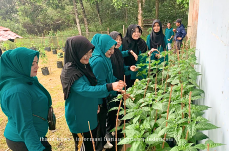 Mengisi Waktu Luang di Hari Libur, Tim Penggerak PKK Kecamatan Singkep Barat Lakukan Bersih-Bersih Perkebunan Cabai