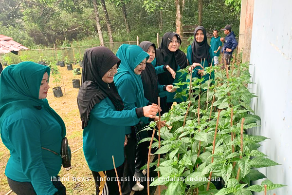  Mengisi Waktu Luang di Hari Libur, Tim Penggerak PKK Kecamatan Singkep Barat Lakukan Bersih-Bersih Perkebunan Cabai