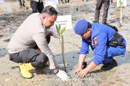 Aksi Pemulihan Ekosistem: Polres Lingga Tanam Mangrove di Pesisir Pantai di Kecamatan Singkep