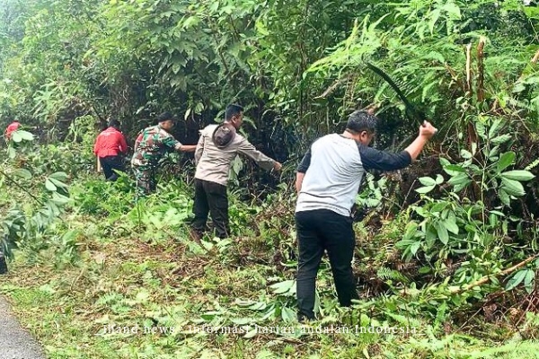  Pemerintah Kecamatan Singkep Barat Gelar Gotong Royong Bersihkan Bahu Jalan: Kolaborasi Pemerintah dan Masyarakat