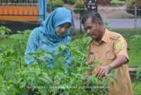 Kebun tanaman milik TP PKK Kec. Singkep Barat (foto: sahib)