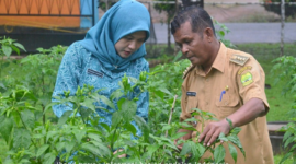 Kebun tanaman milik TP PKK Kec. Singkep Barat (foto: sahib)