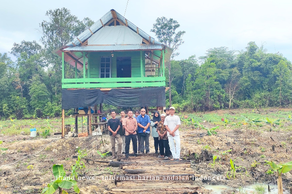  DPKP Lingga Kunjungi Kebun Kelompok Tani di Sungai Buluh, Kades Ungkap Ada Ribuan Tanaman Termasuk Cabai