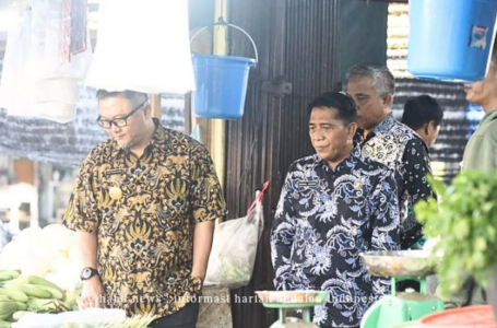 Pjs. Bupati Lingga Sidak Harga Sembako di Pasar Dabo Singkep