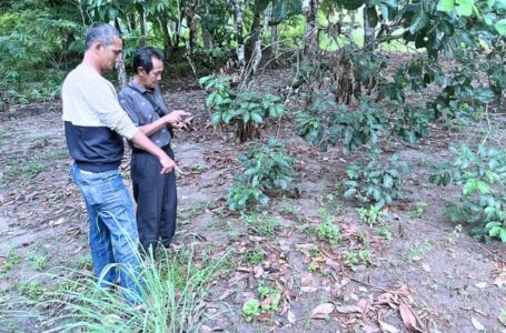 Gerak Cepat Bripka Doni Bhabinkamtibmas Desa Tanjung Harapan Tangani Kasus Pencurian Ayam