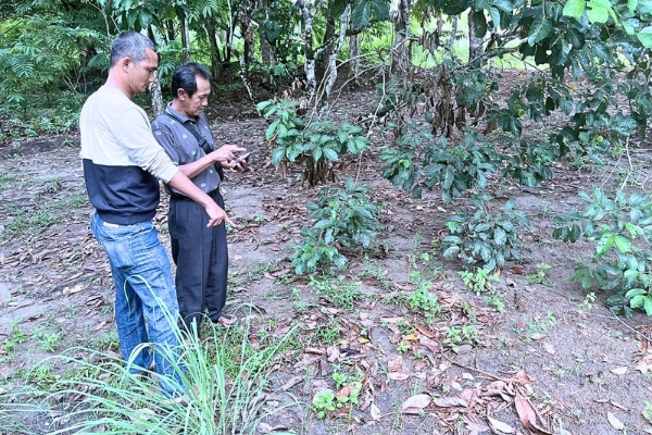  Gerak Cepat Bripka Doni Bhabinkamtibmas Desa Tanjung Harapan Tangani Kasus Pencurian Ayam