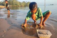 Isi Libur Akhir Pekan dengan Kegiatan Menyenangkan: Mencari Remis di Pantai Desa Tanjung Harapan | f. Eko