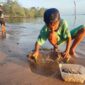 Isi Libur Akhir Pekan dengan Kegiatan Menyenangkan: Mencari Remis di Pantai Desa Tanjung Harapan | f. Eko