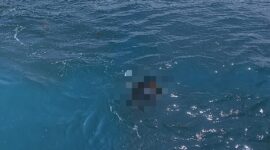 Dua Warga Batam Tewas Terseret Arus Saat Memancing di Pantai Bahagia Nongsa | f. Ist