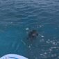 Dua Warga Batam Tewas Terseret Arus Saat Memancing di Pantai Bahagia Nongsa | f. Ist