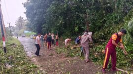 Wakapolres Lingga Pimpin Evakuasi Pohon Tumbang di Jalan Raya Desa Persing | f. Humas Polres Lingga