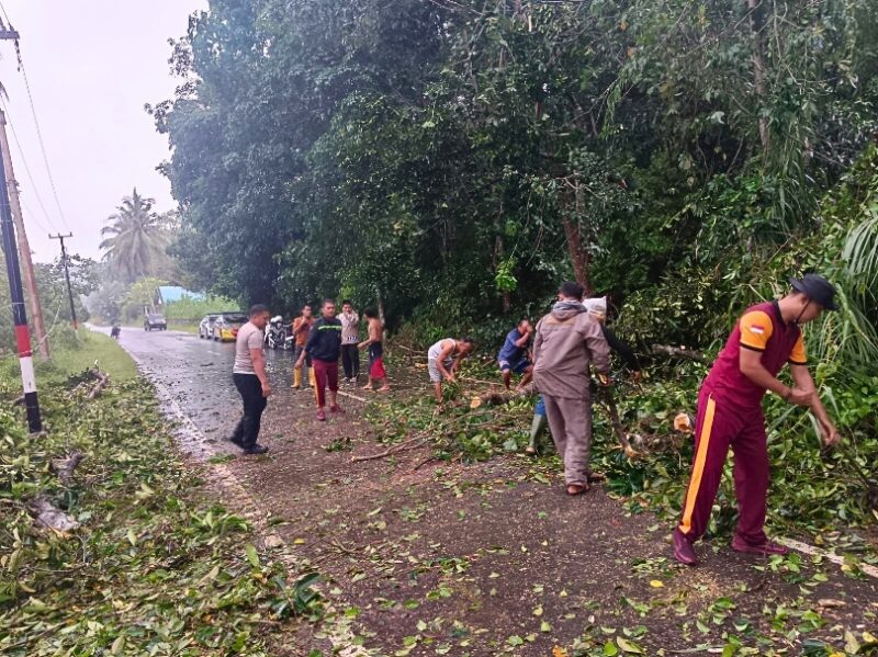 Wakapolres Lingga Pimpin Evakuasi Pohon Tumbang di Jalan Raya Desa Persing | f. Humas Polres Lingga