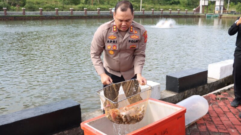 Kapolres Lingga Tebar 8000 Ekor Ikan Nila di Kolam Polres, Dukung Program Ketahanan Pangan Nasional | f. Humas Polres Lingga