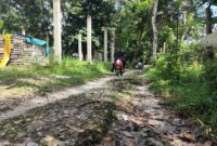 Bertahun-tahun Jalan Rusak Parah, Warga Bukit Kabung Keluhkan Minimnya Perhatian Pemerintah | f. Ari