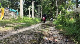 Bertahun-tahun Jalan Rusak Parah, Warga Bukit Kabung Keluhkan Minimnya Perhatian Pemerintah | f. Ari