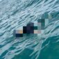Mayat Mengapung di Laut Kampung Baru, Identik Dengan Nelayan Panggak Laut Yang Hilang | f. Ist
