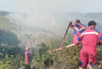 Damkar Lingga Berhasil Padamkan Kebakaran Hutan dan Lahan di Bukit Langkap | f. Ist