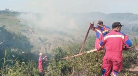 Damkar Lingga Berhasil Padamkan Kebakaran Hutan dan Lahan di Bukit Langkap | f. Ist