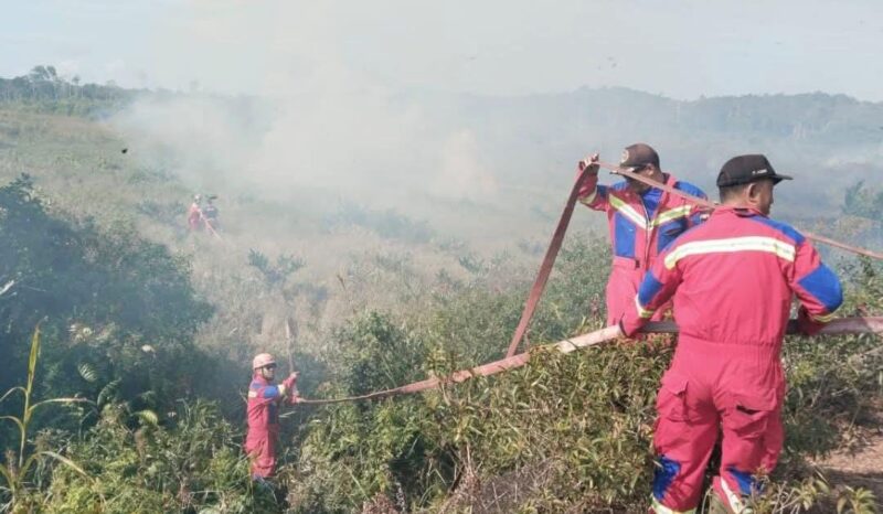 Damkar Lingga Berhasil Padamkan Kebakaran Hutan dan Lahan di Bukit Langkap | f. Ist