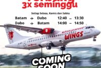 Kabar Baik! Wings Air Kembali Layani Rute Dabo Singkep–Batam Mulai 30 Maret 2025