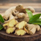 Jahe Tanaman dengan nama latin Zingiber officinale | f. Red
