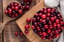 Cranberry, buah kecil berwarna merah cerah ini semakin populer di kalangan masyarakat Indonesia | f. Istimewa