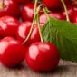 Buah cerita untuk kesehatan tubuh | f. Shutterstock