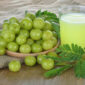 Buah Amla yang dikenal juga dengan nama Indian gooseberry ini bukan hanya populer di negara asalnya, India | f. Red