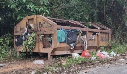 Salah satu potret bak kontainer sampah memprihatinkan itu tampak jelas di Desa Tanjung Harapan | vatawari
